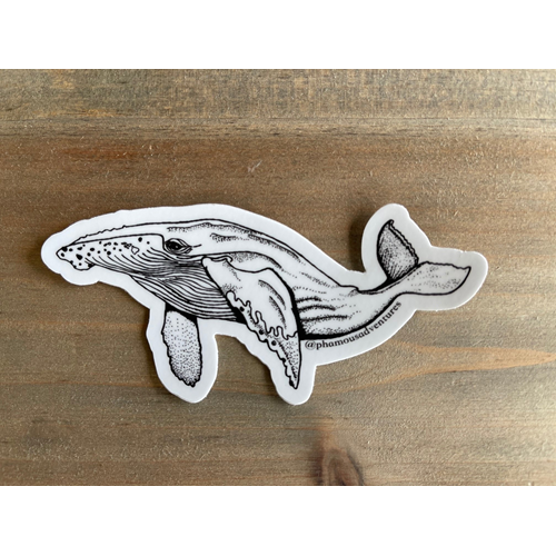 Whale sticker